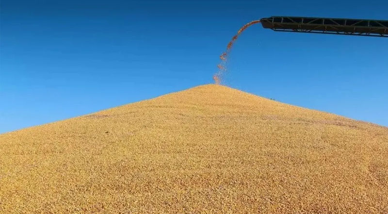 维科美拓烘干快速法水分仪在通用行业的应用 维科美拓烘干快速法水分仪在通用行业的应用