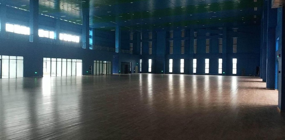体育馆声学设计方案
