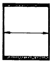 1629537507143598.jpg 图片1.jpg