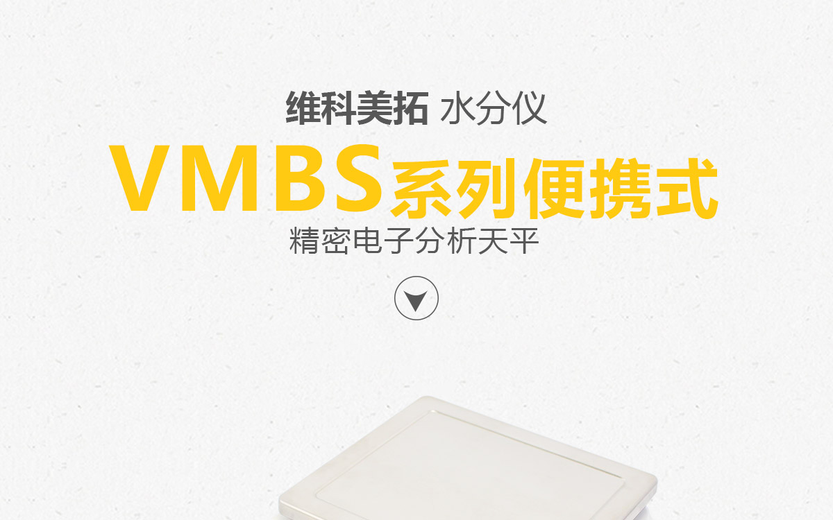 VMBS系列 便携式精密电子天平